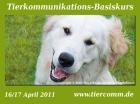 Tierkommunikation Kurs Schleswig- Holstein 16/17 April 2022
